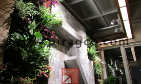 تراس باغ و پاسیو باغ راه حلی برای ساکنانی که به روف گاردن دسترسی ندارند 